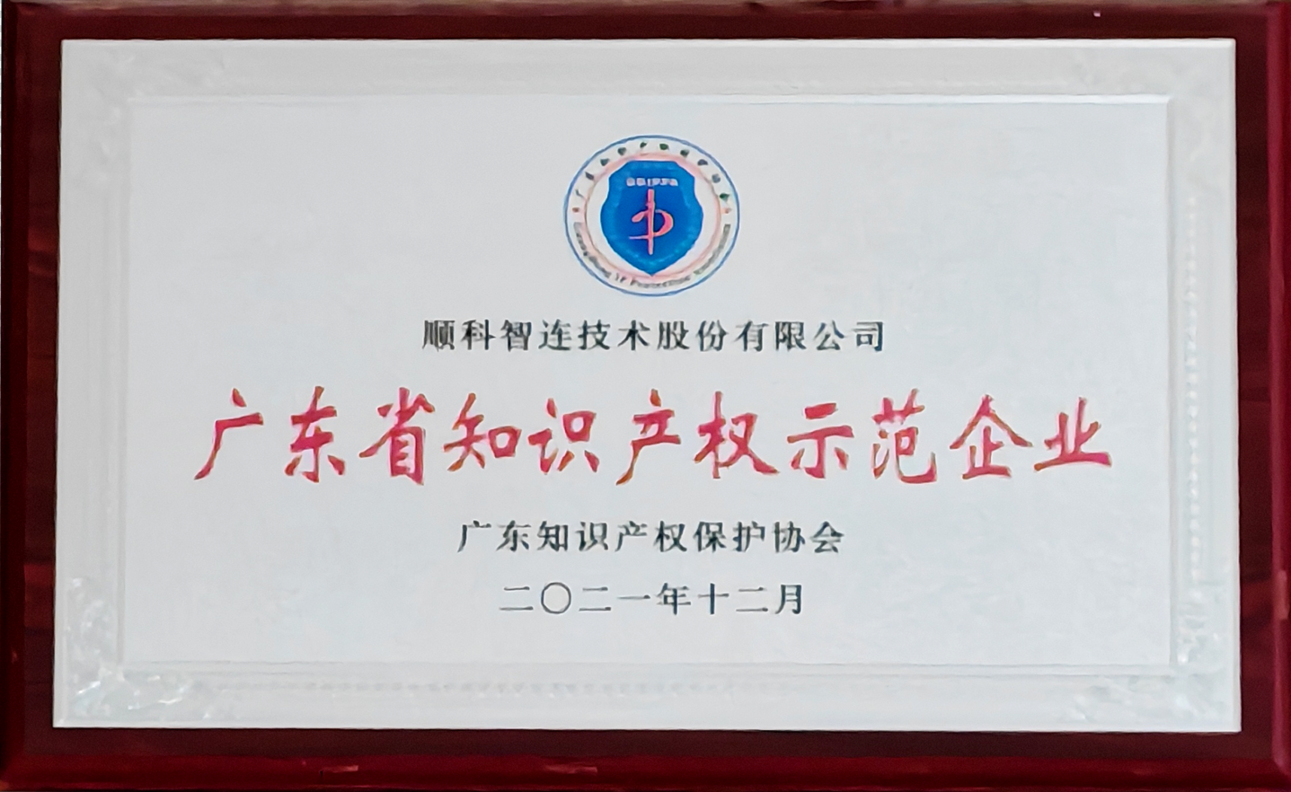 广东省知识产权示范企业